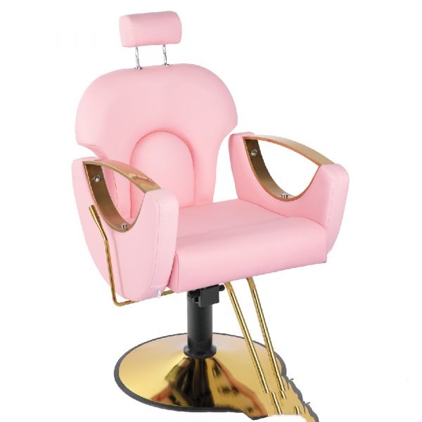 Barber Chair Hairdressing Chair Internet - Image 2