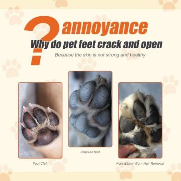 Natural Plant Formula Pet Paw Balm For Cats And Dogs - Image 2