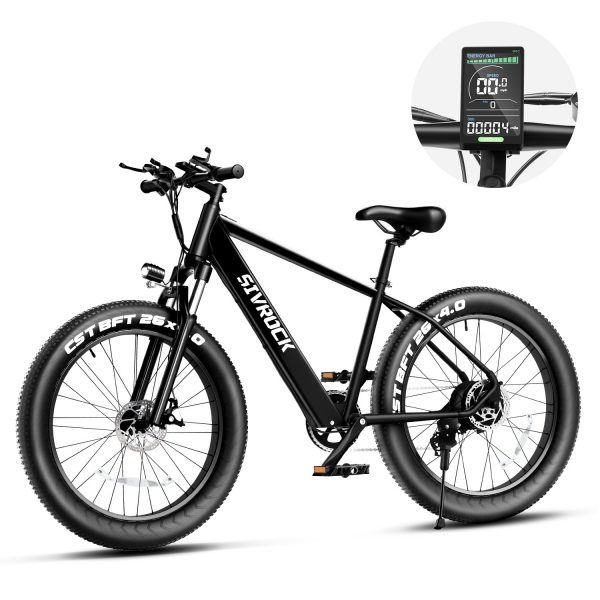 Professional Electric Bike For Adults, 26 X 4.0 Inches 
1000W Motor 48V 15Ah Ebike For Trail Riding