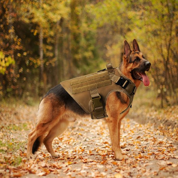 Outdoor Tactical Dog Vest For Large Dogs - Image 5