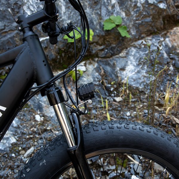 Professional Electric Bike For Adults, 26 X 4.0 Inches 
1000W Motor 48V 15Ah Ebike For Trail Riding - Image 2