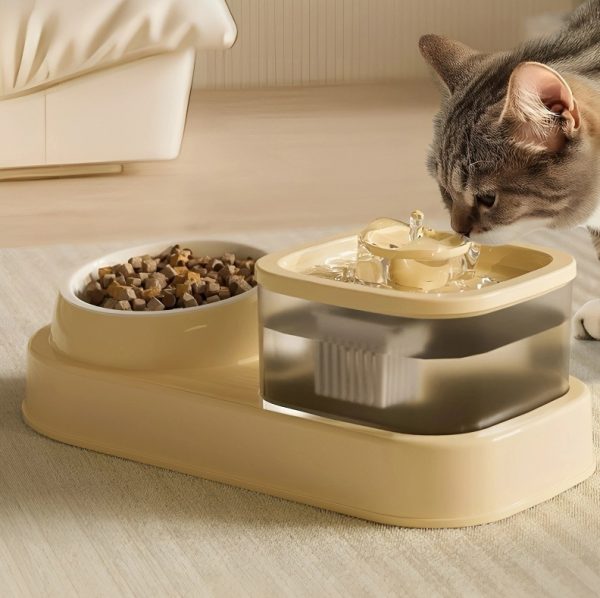 Cat Water Dispenser And Feeding Bowl 2-in-1, Dry