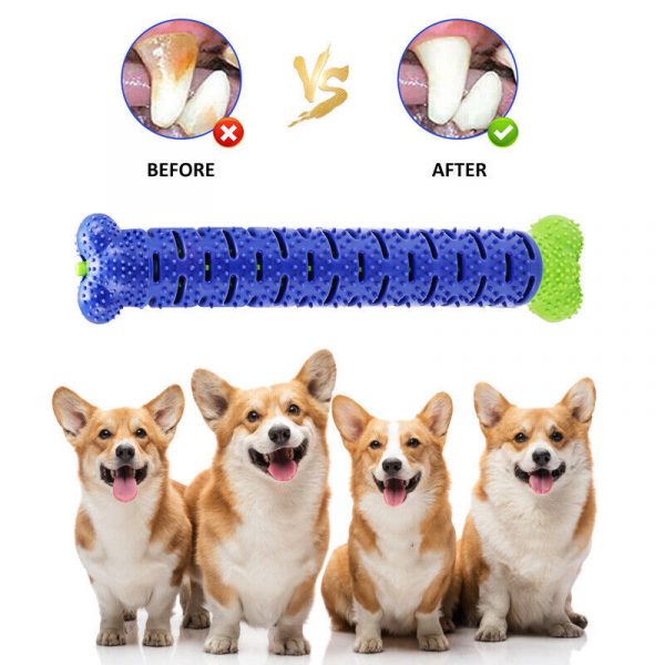 Dog Toys Toothbrush TPR Chew Bite Teeth Cleaning - Image 7