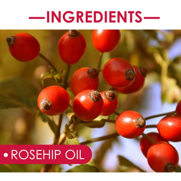 EELHOE Rosehip Facial Oil For Facial And Body Hydration - Image 6