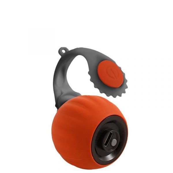 Pet With Gravity Sudden Ball Cat Toy - Image 5