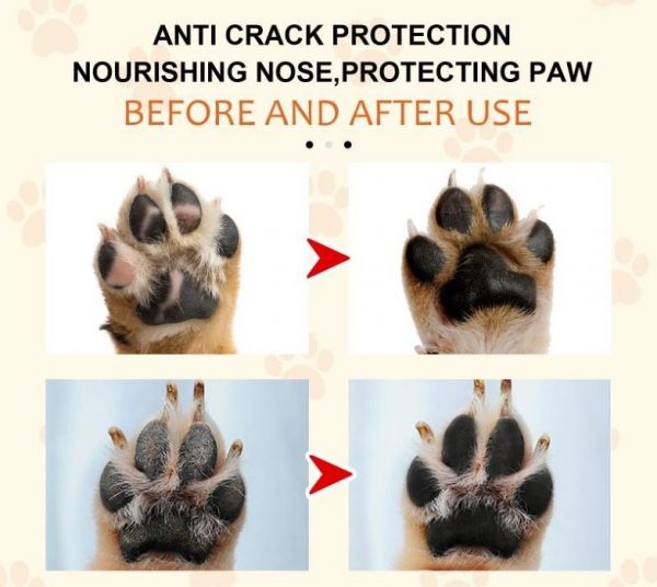 Natural Plant Formula Pet Paw Balm For Cats And Dogs - Image 5
