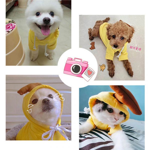 Cute Fruit Dog Clothes For Small Dogs Hoodies - Image 7