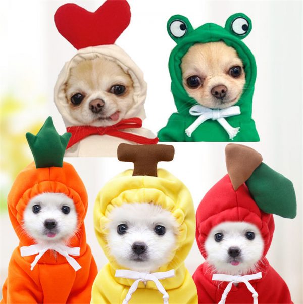 Cute Fruit Dog Clothes For Small Dogs Hoodies - Image 9