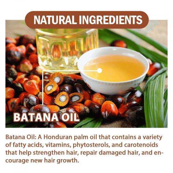 Batana Oil From Honduras - Get Fuller, Thicker, Healthier Hair - Image 8