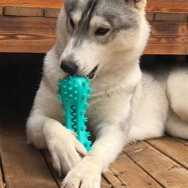 Pet Dog Cleaning Chew Toys For Aggressive - Image 5