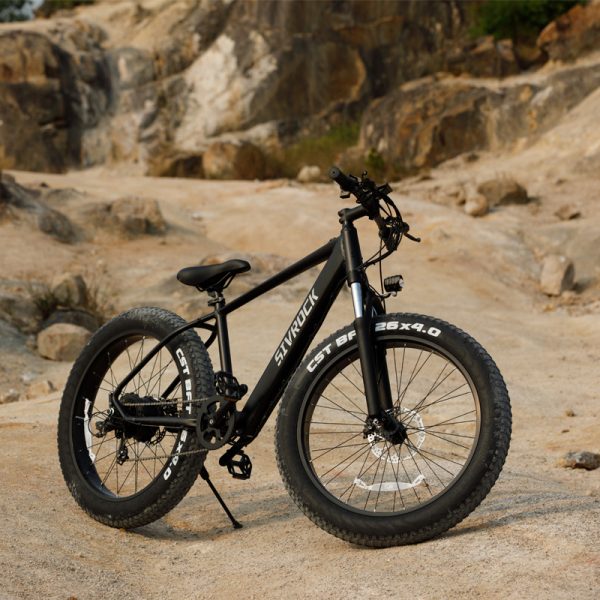 Professional Electric Bike For Adults, 26 X 4.0 Inches 
1000W Motor 48V 15Ah Ebike For Trail Riding - Image 7