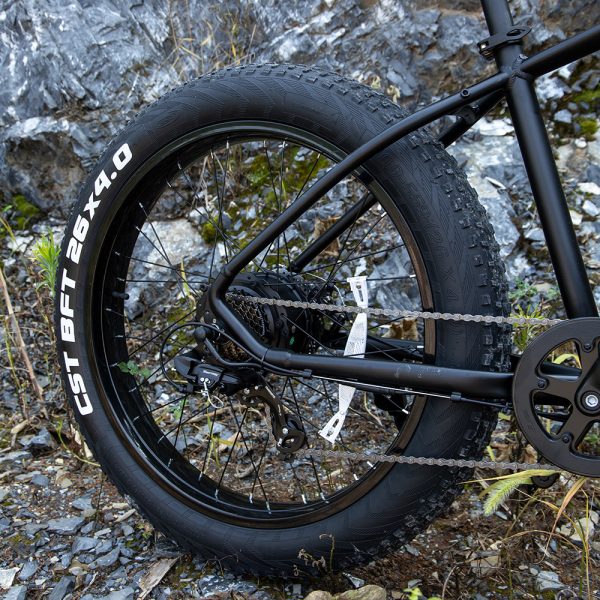 Professional Electric Bike For Adults, 26 X 4.0 Inches 
1000W Motor 48V 15Ah Ebike For Trail Riding - Image 9